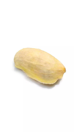 Mango seed