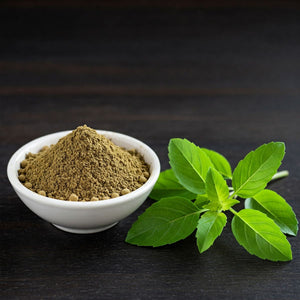 Tulsi