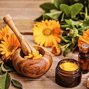 Calendula